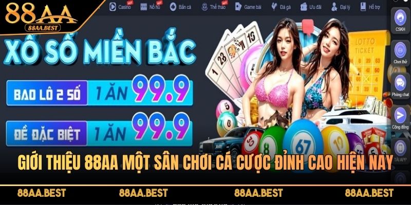Giới Thiệu 88AA - Nhà Cái Cá Cược Trực Tuyến Uy Tín 2026 1 Giới thiệu 88AA nhà cái cá cược trực tuyến cho người chơi Việt Nam